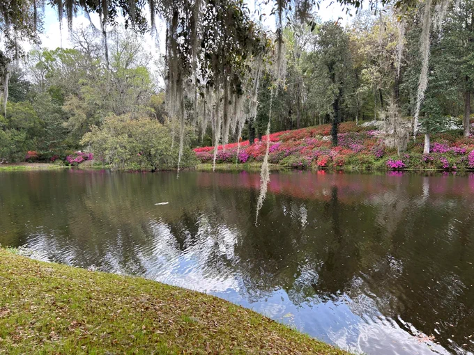 Lake surrounded by blooming flowers and Spanish moss
