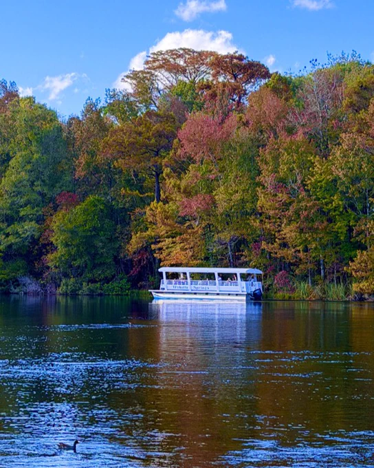 Photo of Wakulla Springs.
