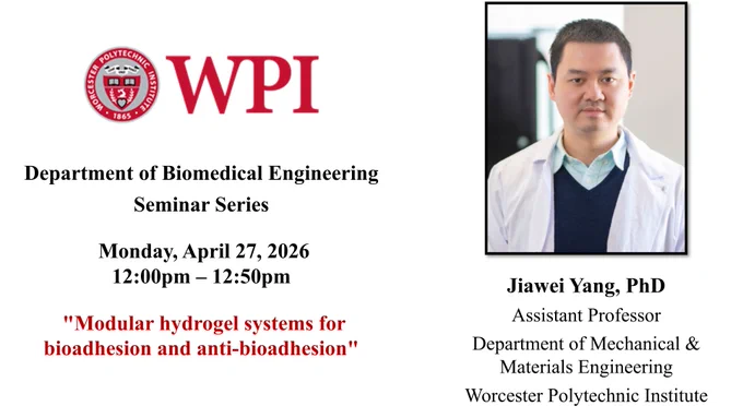 The left side of the image has the WPI seal and additional seminar information: “Department of Biomedical Engineering Seminar Series, Monday, April 27, 2026, 12:00pm – 12:50pm, "Modular hydrogel systems for bioadhesion and anti-bioadhesion"

The right side of the image has Dr. Yang’s picture. Dr. Yang looking at the camera, and he is standing in a research lab (background is slightly blurred/out of focus). He has short dark hair and is wearing a light green collared shirt under a dark sweater vest and white lab coat. Dr. Yang’s name and affiliation are under the headshot: “Jiawei Yang, PhD, Assistant Professor, Department of Mechanical & Materials Engineering, Worcester Polytechnic Institute”.