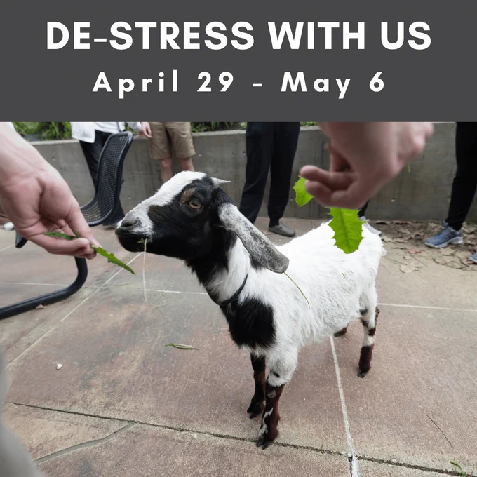 a goat being fed leaves from hands. In a block above the goat, the text says 'De-Stress with us April 29 - May 6'.