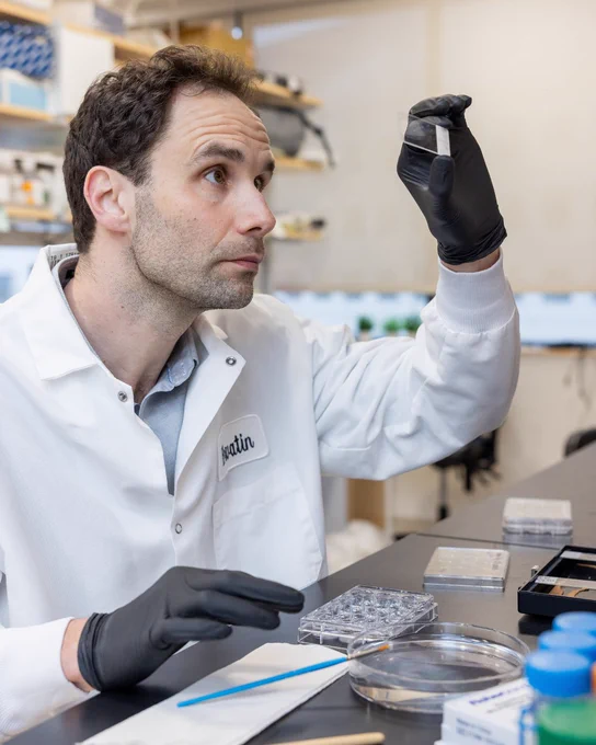 Freeman Hrabowski Scholar Siniša Hrvatin examining a specimen in the lab