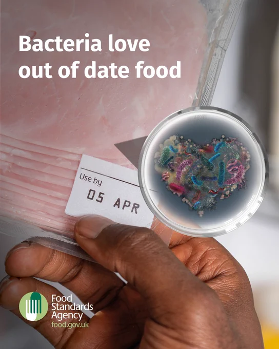 Bacteria love out of date food