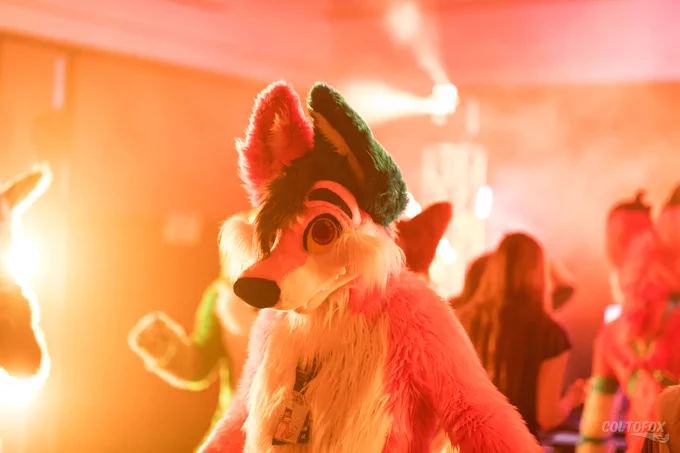 Upper body portrait shot of OzziFoxy (orange, white, red and blue fox fursuiter) in full fursuit dancing at a fursuit dance. He's surrounded by fog illuminated by several stage lights.

Shot on Canon EOS 5D Mark IV at 85mm f/1.4 ISO3200 1/200s. Taken by Colto Fox at FurDU 2022 (Gold Coast, QLD) on 30 April 2022.