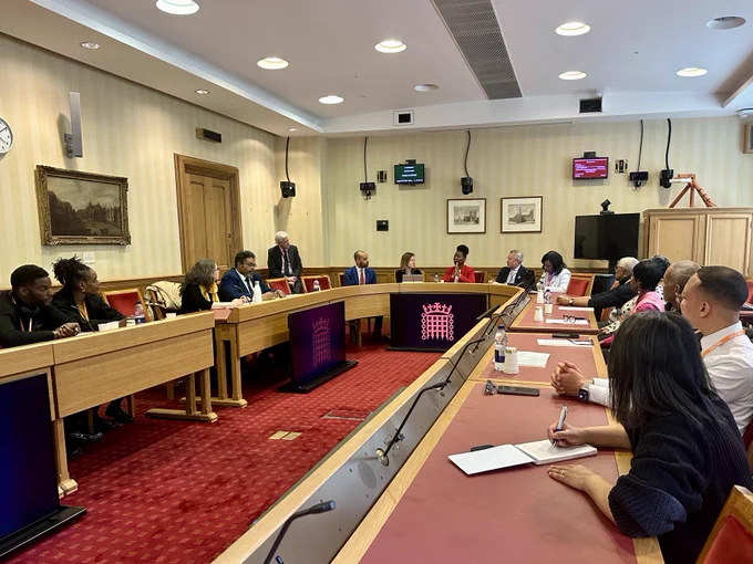 Windrush survivors and Lib Dem parliamentarians seated around a committee table in a formal Parliamentary meeting room for a roundtable discussion.