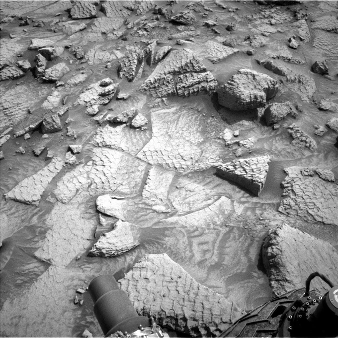 Black-and-white photo of a field of rocks that each have a pattern of polygons on their surfaces that almost resemble the scales of a reptile.