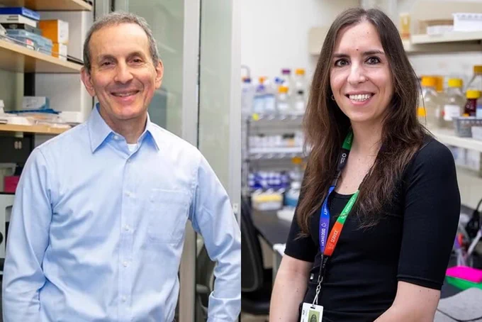 Daniel Drucker, a senior investigator at Sinai Health and a University Professor in U of T’s Temerty Faculty of Medicine, and postdoctoral researcher Maria Gonzalez-Rellan found that semaglutide acts directly on the liver to reduce inflammation and scarring, and improve organ function (supplied image)