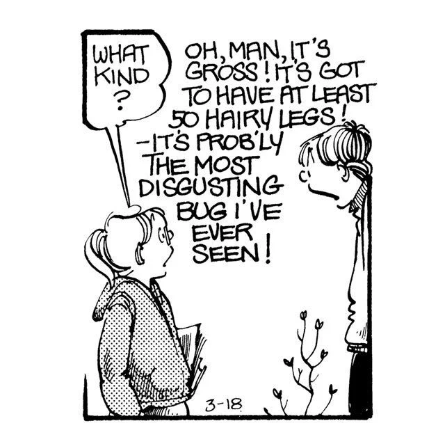 She asks what kind. Oh, man, it's gross! It has at least 50 hairy legs and is the most disgusting bug he's ever seen! 