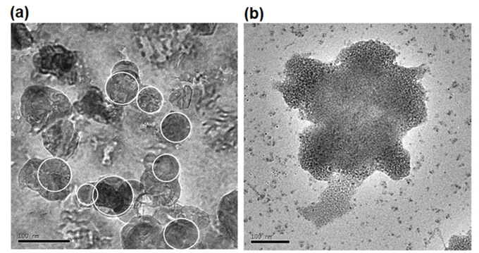 TEM images of Cu2O nanoparticles synthesized by (a) the chemical method and (b) the green method.