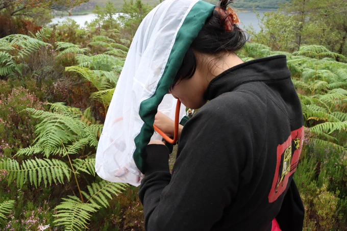 Natural History Museum researcher Inez Januszczak during fieldwork for the Darwin Tree of Life Project. 