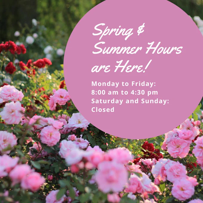 A meadow of bright pink and red roses in the sunshine. The text over the image reads, "Sprint and summer hours are here! Monday to Friday: 8:00 am to 4:30 pm, Saturday and Sunday: Closed"