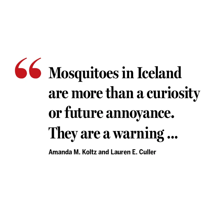 "Mosquitoes in Iceland are more than a curiosity or future annoyance. They are a warning …" - Amanda M. Koltz and Lauren E. Culler