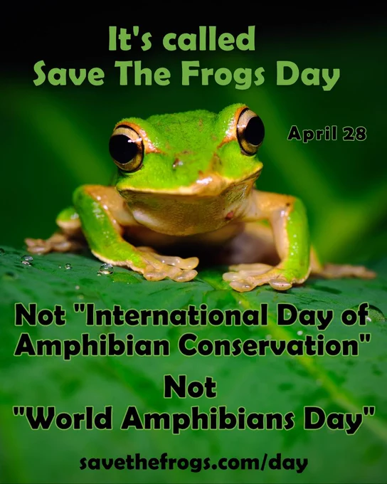 Save The Frogs Day