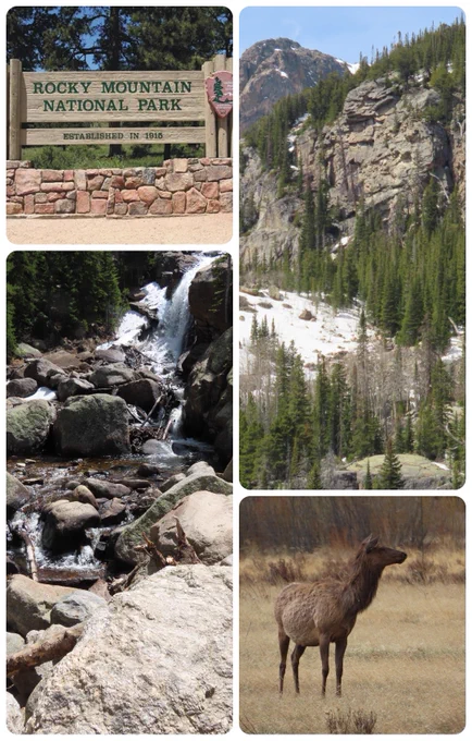 4 photos from Rocky Mountain National Park in Colorado