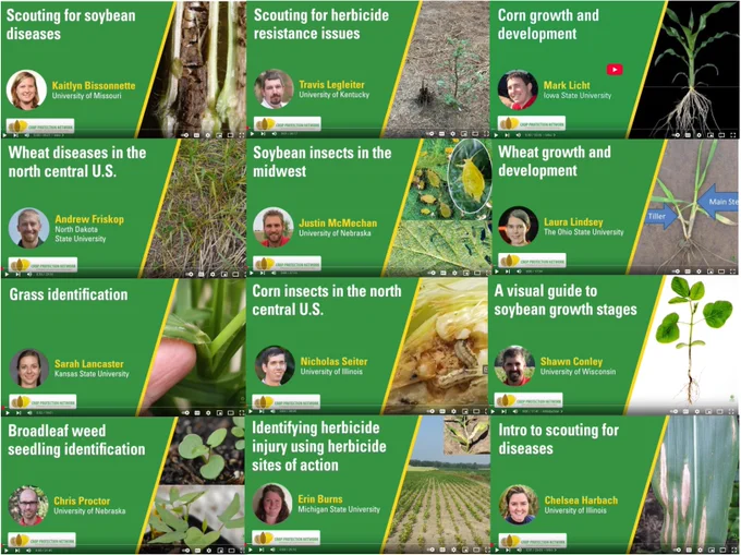 Thumbnails of nine different crop scout school videos. 