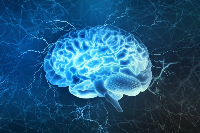 An illustration of the human brain in blue.
