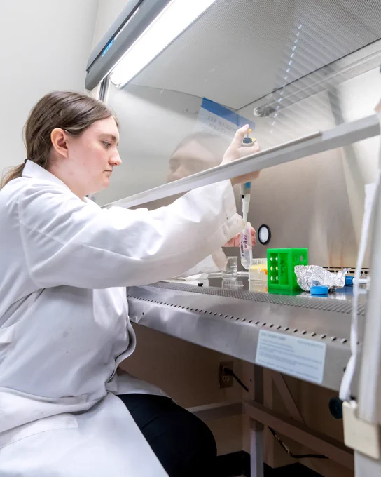 Jenna Etheridge preparing a sample of beads for the microscope 