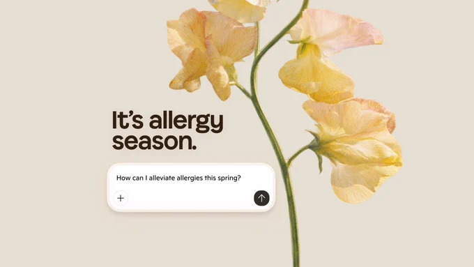 Graphic with a close-up of yellow and peach flowers on a beige background. Text reads: ‘It’s allergy season.’ Below, a white rounded box shows the question: ‘How can I alleviate allergies this spring?’ with small plus and arrow icons.