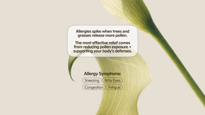Graphic with a green flower on a beige background. Text explains that allergies spike when trees and grasses release pollen and that relief comes from reducing exposure and supporting the body. Below, labeled buttons list common symptoms: Sneezing, Itchy Eyes, Congestion, Fatigue.