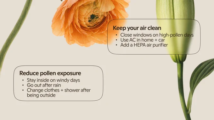 Graphic with an orange flower on a beige background. Text headline: ‘Reduce pollen exposure.’ Bullet points list tips: stay inside on windy days; go out after rain; change clothes and shower after being outside.