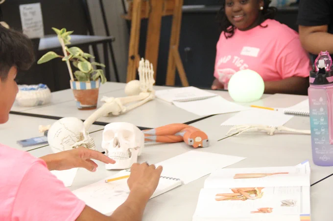 Two young people sitting at a table are drawing while skulls and muscle models rest on the table