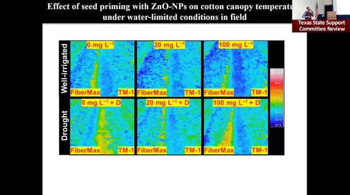 Nano-priming with ZnO-NPs to Improve Cotton Drought Tolerance and Yield Performance Under Field Conditions