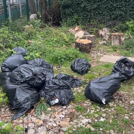 Fly tip