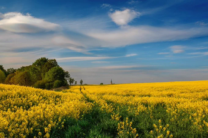 Landscape, Beautiful Nature 