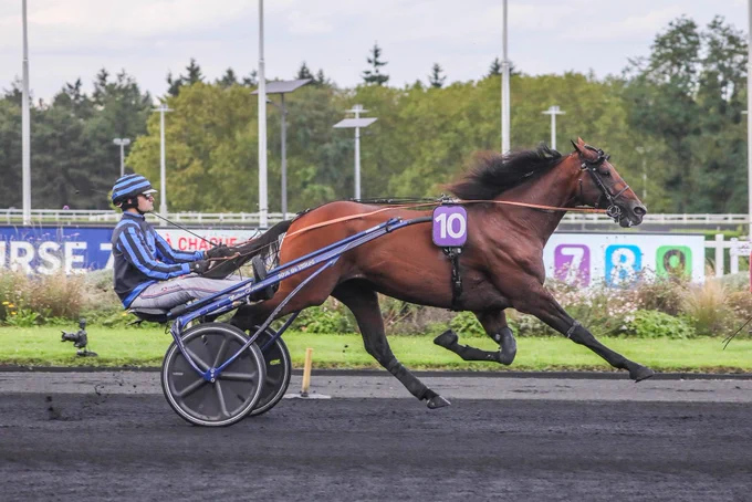 Photo: Bruno Vandevelde Letrot