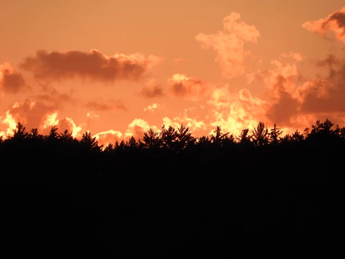 A silhouette of a forest with trees is visible in the foreground against the backdrop of a vibrant orange sunset sky with scattered clouds.
