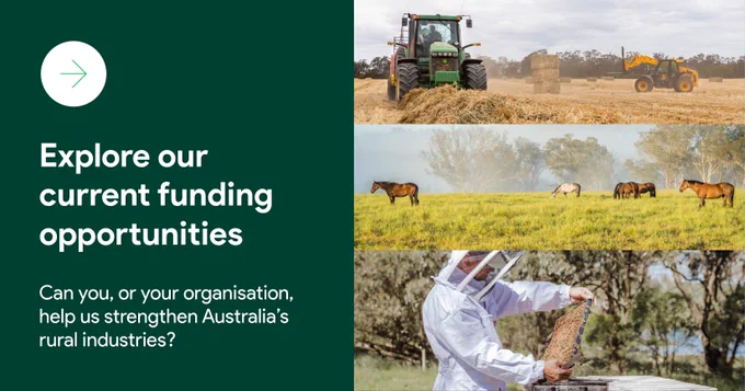 Tile with a dark green background on the left featuring white text reading "Explore our current funding opportunities" and "Can you, or your organisation, help us strengthen Australia's rural industries?" with a white arrow icon. The right side features three stacked photos: a green tractor and loader baling hay in a dry paddock, a group of horses grazing on green pasture with trees in the background, and a beekeeper in a white protective suit inspecting a honeycomb frame from a hive.