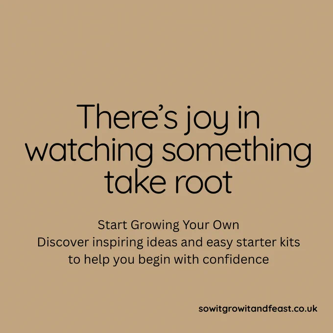 There's joy in watching something take root.
Start Growing your Own.
Discover inspiring ideas and easy starter kits to help you begin with confidence.
sowitgrowitandfeast.co.uk