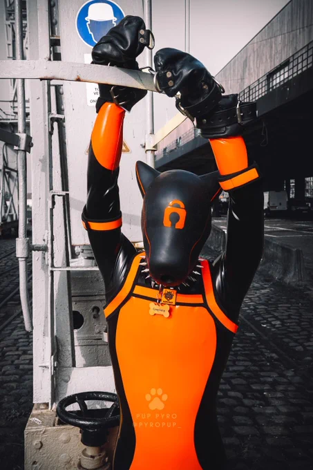 GimpSimp tied to a crane ladder, with his wrists above his head. GimpSimp is in a Furrjoi silicone pup hood, latex pup catsuit and bondage mitts.