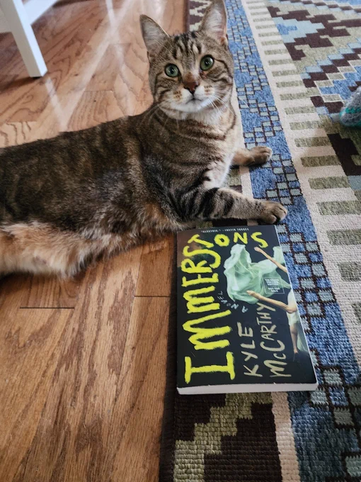 Brown tabby next to the novel Immersions by Kyle McCarthy from Tin House books.