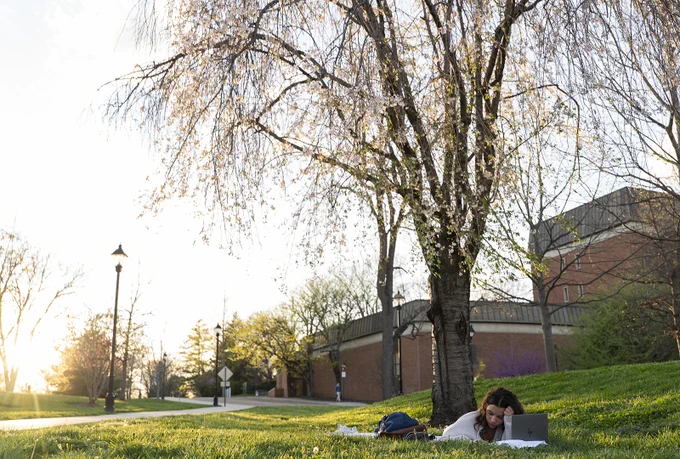 Student lounging under a tree with white flowers