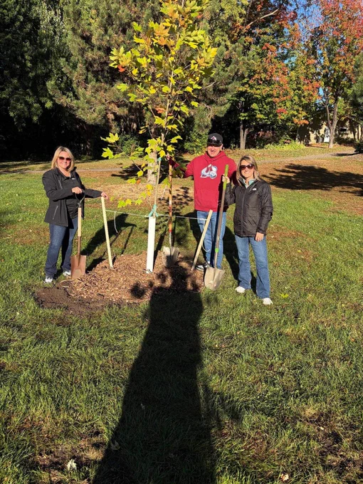 Three people are planting a young tree in a park. They are holding shovels and standing on grass, surrounded by tall trees with green and autumn-colored leaves. The sunlight casts a large shadow towards the tree.