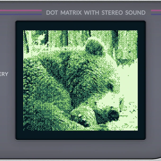 Der Kopf eines liegenden Bären, mit der Game Boy Kamera fotografiert, daher ziemlich pixelig.