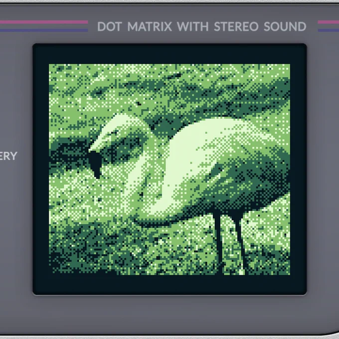 Ein Flamingo, mit der Game Boy Kamera fotografiert, daher ziemlich pixelig.