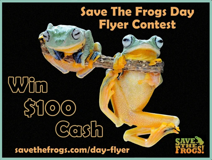 Save The Frogs Day Flyer Contest