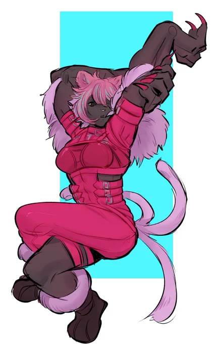 black cat from ffxiv