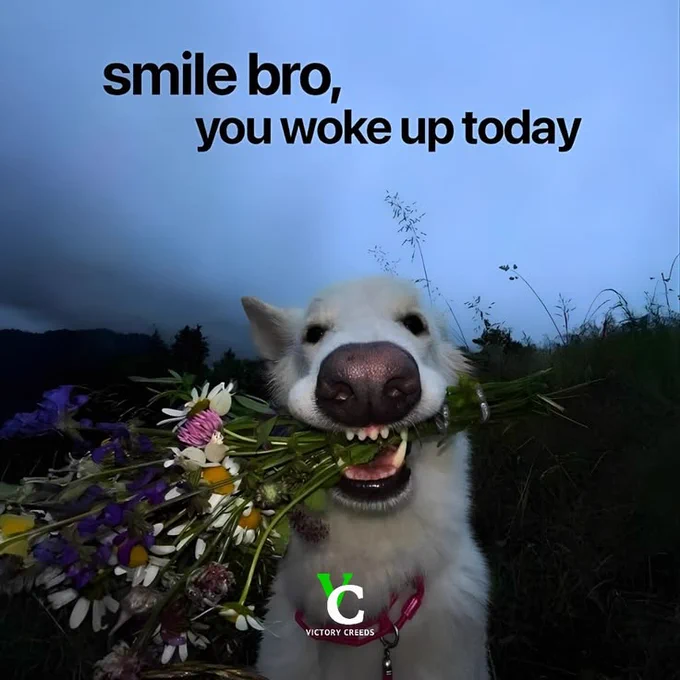 Gm motivation 