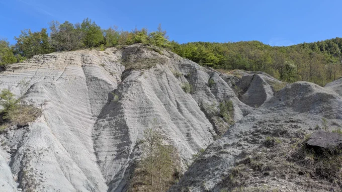 Monte Barigazzo (Appennino Tosco Emiliano)
