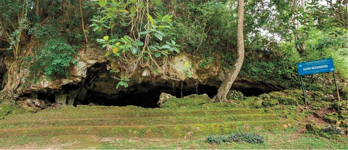 Oldest known rock art (📸 Courtesy Maxime Aubert; courtesy Ratno Sardi)