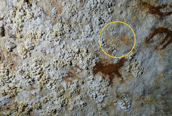 Oldest known rock art (📸 Courtesy Maxime Aubert; courtesy Ratno Sardi)