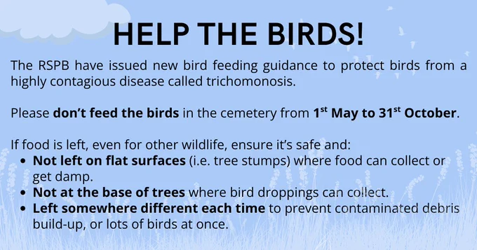 PSA: HELP THE BIRDS! 

The RSPB have issued new bird feeding guidance to protect birds from a highly contagious disease called trichomonosis. Please don't feed the birds in the cemetery from 1st May to 31st October. If food is left, even for other wildlife, ensure it's left safely and: 

🐦Not left on flat surfaces (i.e. tree stumps) where old food can collect or get damp. 
🐦Not at the base of trees where bird droppings can collect.
🐦Left somewhere different each time to prevent contaminated debris build-up, or lots of birds gathering at once.