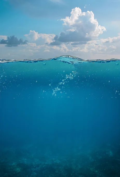 A colour photograph of water, from the sea surface down to the seabed, with a blue sky and clouds above.