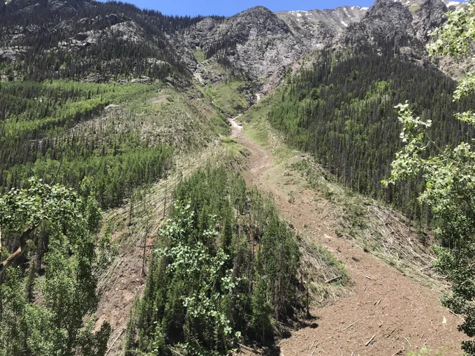 Mountain slope with an obvious avalanche path cutting through dense evergreen forest under a bright blue sky. Downed trees in the avalanche path (foreground and background) are present. 