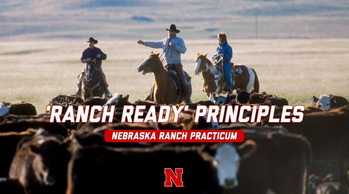 Ranchers herding cattle. Text reads "Ranch Ready Principles: Nebraska Ranch Practicum”