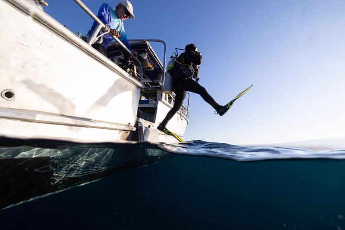 Underwater archaeology in Saint Croix (📸 Jennifer Adler)