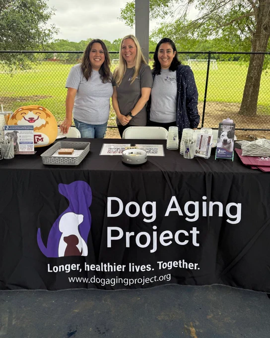 Three people stand behind a table with a black tablecloth that reads "Dog Aging Project" and a slogan about longer, healthier lives. Several items are displayed on the table, including a plush animal and brochures.