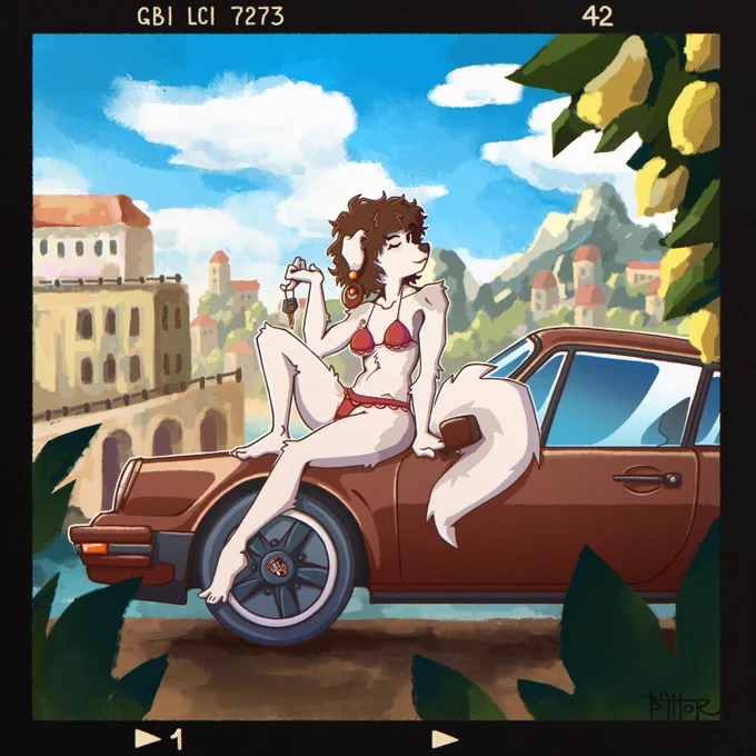 Anthro Dog sitting on the Porsche 930 and winking to us. Background is Southern Italy, foreground is glorious lemons.